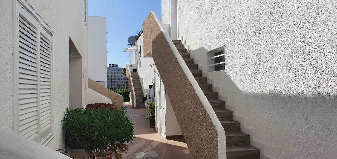 Adults Only Sunny Quiet Apartment In Center Of Las Americas Arona  0*, Arona (Tenerife) Spain