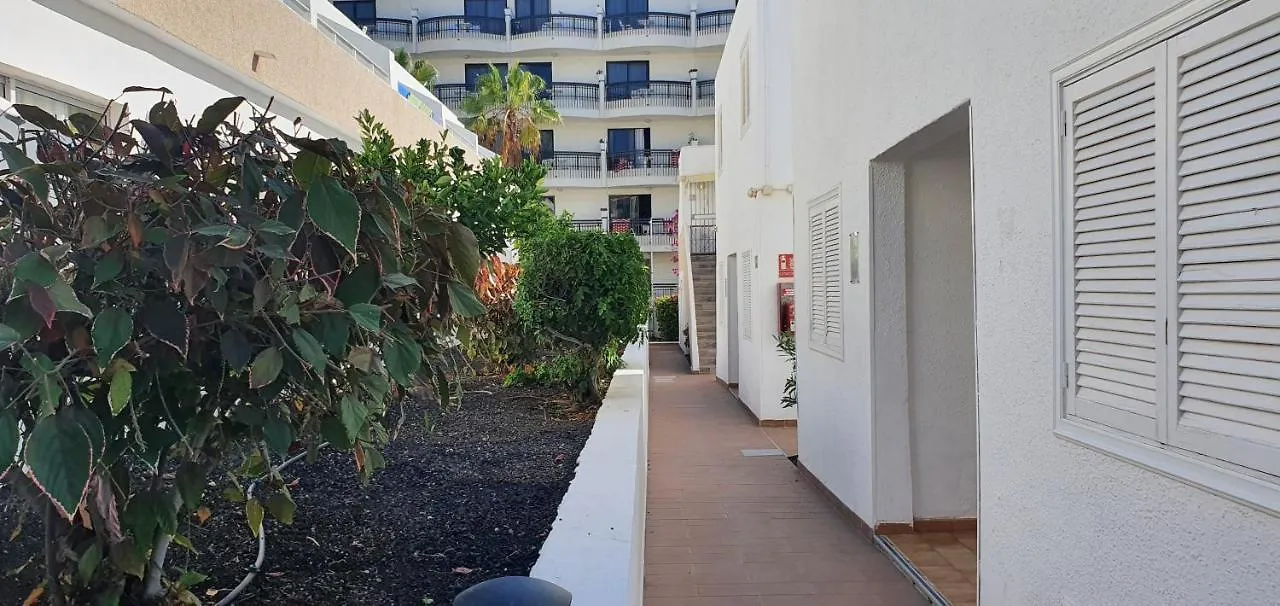 Adults Only Sunny Quiet Apartment In Center Of Las Americas Arona  0*, Arona (Tenerife) Spain